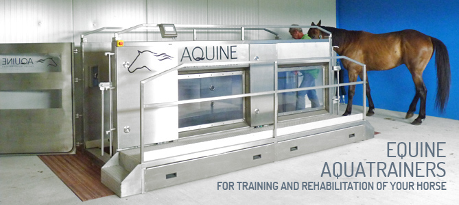 Aquine constructs aquatrainers for horses.