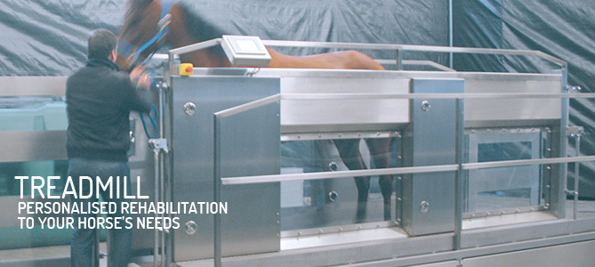 Aquine constructs treadmills for horses.