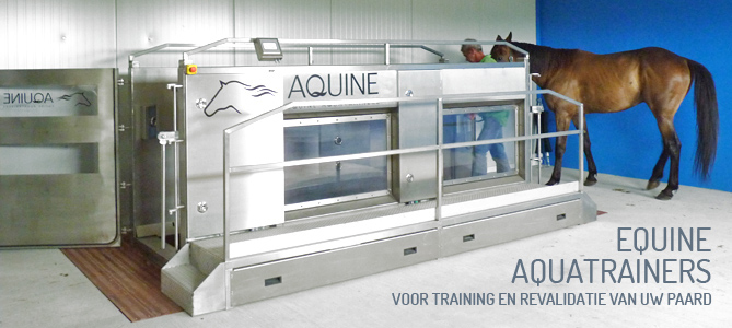 Aquine maakt aquatrainers voor paarden.